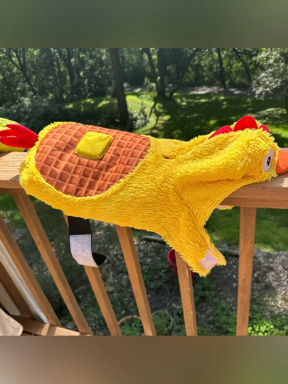 Chicken Waffle Dog Costume Medium Yellow Halloween Pet Costume 2013